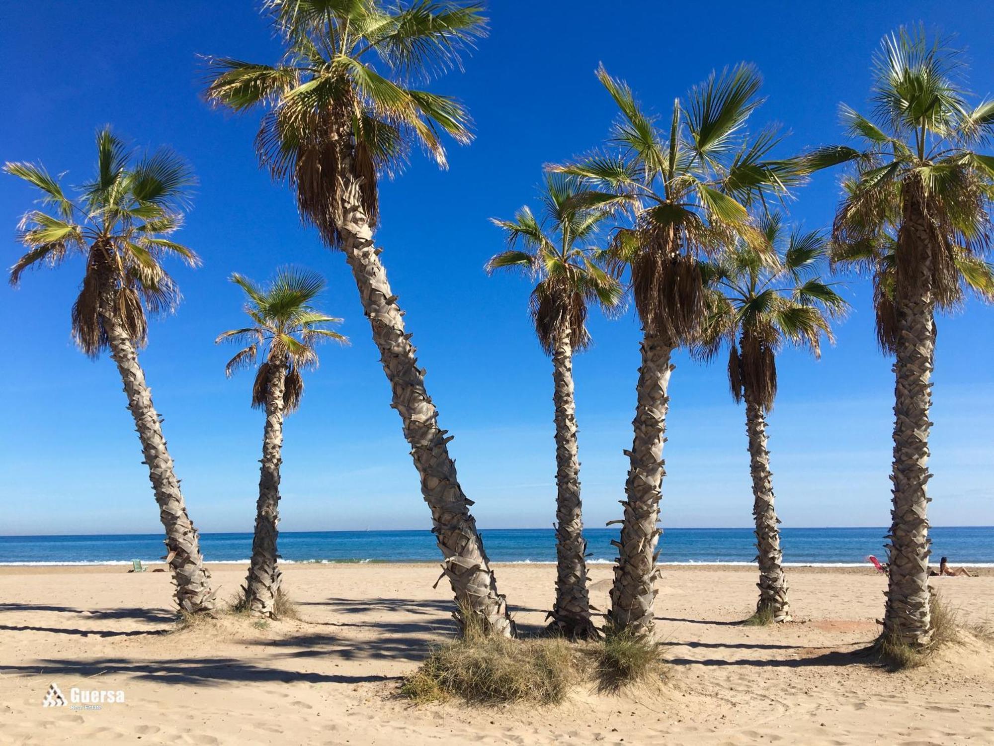 Apartment Sol Y Playa -playa Canet De Berenguer-la Almarda Valencia Costa Spain *